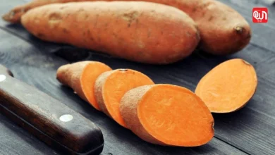 Sweet Potato Benefits: शकरकंद के 8 जबरदस्त फायदे और 3 नुकसान, जिन्हें नजरअंदाज न करें 8 Sweet Potato Benefits