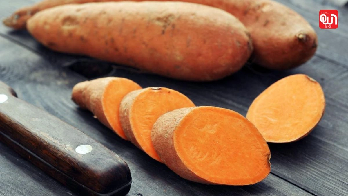 Sweet Potato Benefits: शकरकंद के 8 जबरदस्त फायदे और 3 नुकसान, जिन्हें नजरअंदाज न करें 1 Sweet Potato Benefits