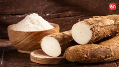 Tapioca Pudding: टैपिओका क्या होता है और यह कैसे बनता है? उपयोग और पोषण की पूरी जानकारी 8 Tapioca Pudding