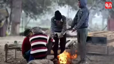 Weather Update: 11 दिसंबर उत्तर भारत ठंड की चपेट में, कई राज्यों में IMD का अलर्ट जारी 7 Weather Update