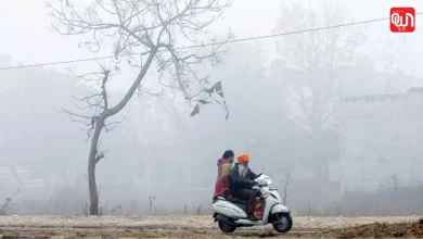 Weather Update: उत्तर भारत में कोहरे का कहर, पहाड़ों पर बर्फबारी की चेतावनी,दिल्ली-NCR धुंध की चपेट में, यूपी-बिहार में बढ़ी ठिठुरन 8 Weather Update