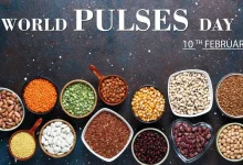 World Pulses Day 2026