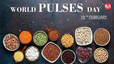 World Pulses Day 2026