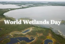 World Wetlands Day