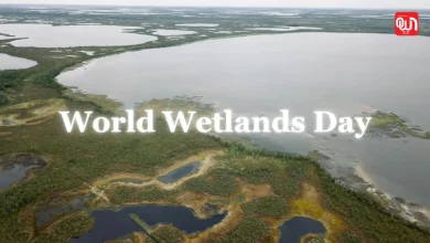 World Wetlands Day