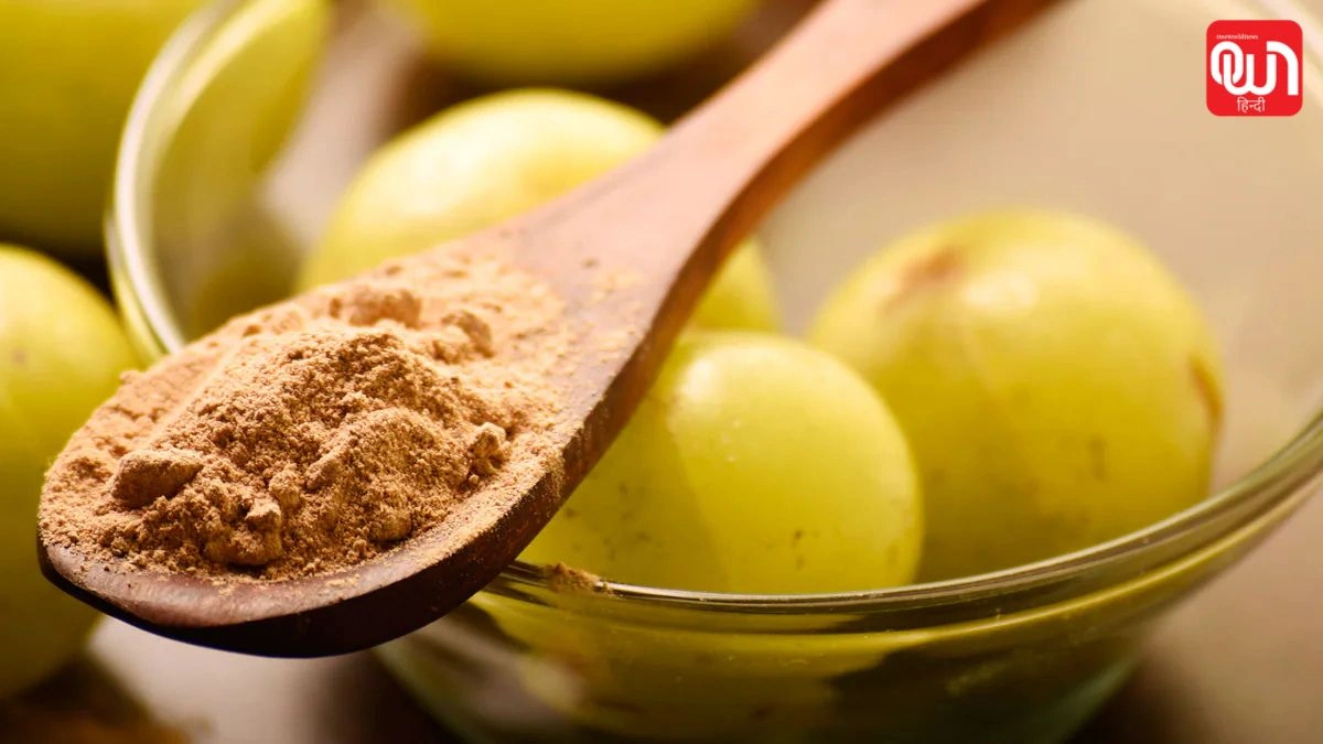 Amla and methi-powder hair mask: घर पर बनाएं हेयर मास्क, आंवला और मेथी पाउडर के फायदे और तरीका 1 Amla and methi-powder hair mask