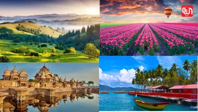 Best places to visit in February in India: फरवरी में कहां जाएं घूमने? भारत की खूबसूरत टूरिस्ट डेस्टिनेशन 8 Best places to visit in February in India