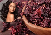 Hibiscus Powder Hair Mask