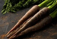 Black Carrot Benefits