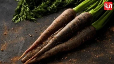 Black Carrot Benefits