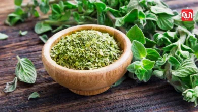 Make Oregano at Home
