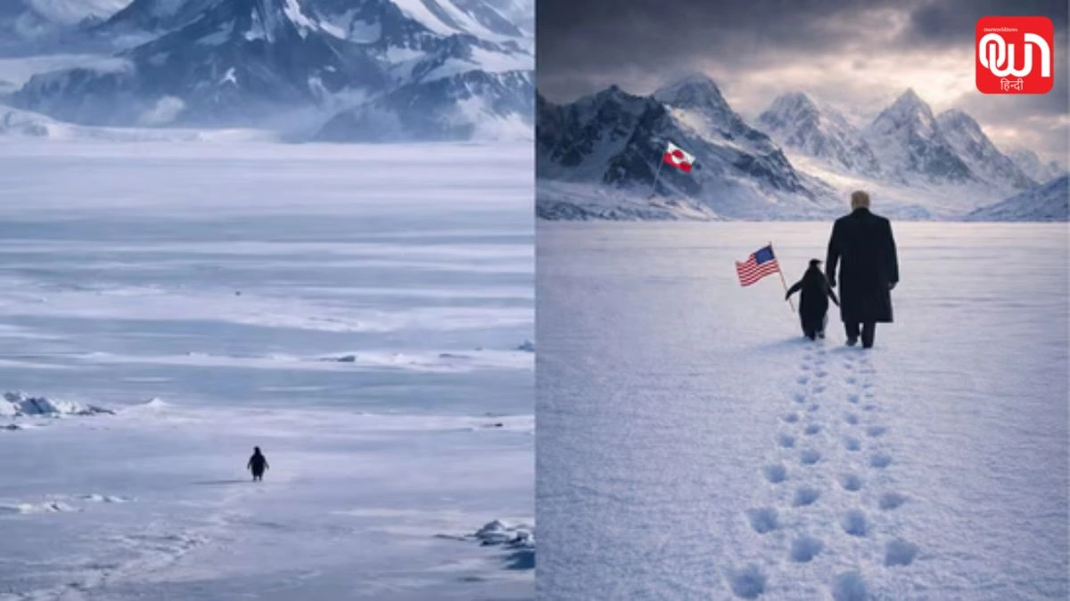 Penguins in Greenland: सोशल मीडिया पर वायरल हुआ ट्रंप का पेंगुइन ट्रेंड, ग्रीनलैंड वीडियो ने मचाई धूम 1 Penguins in Greenland