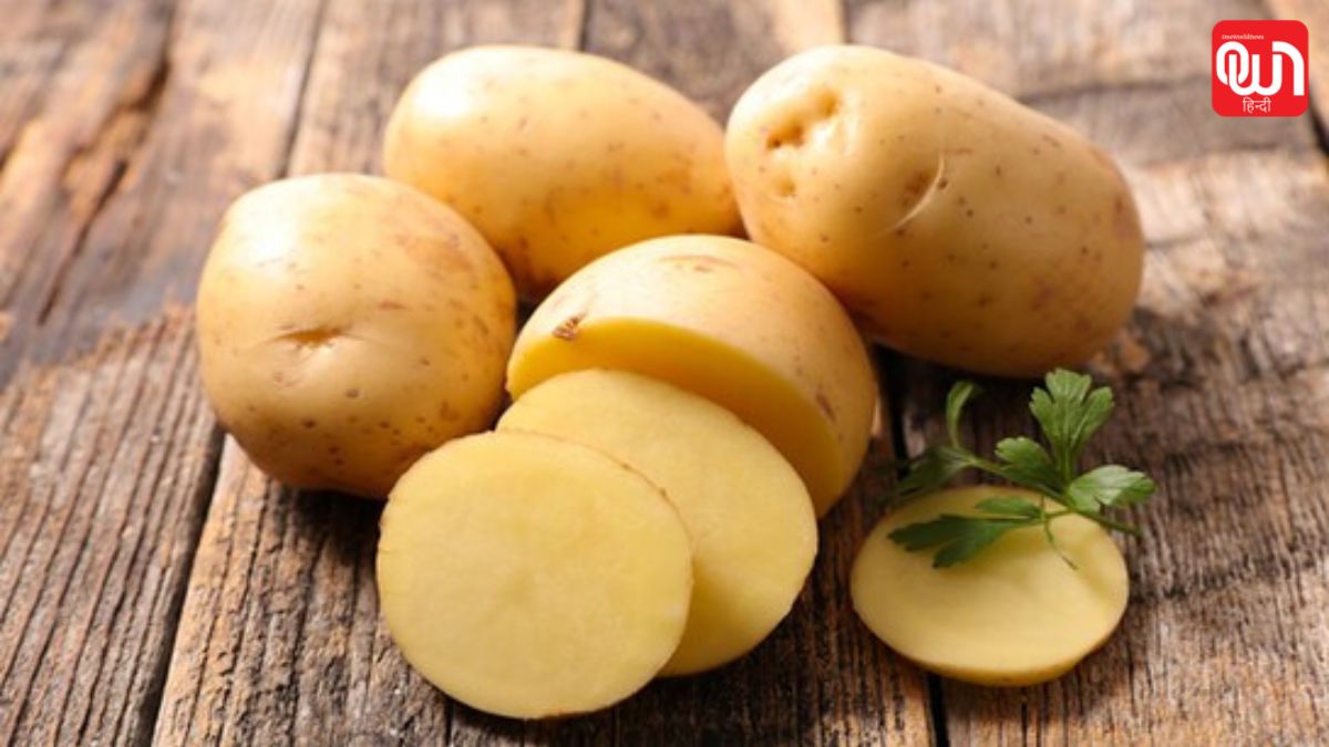 Potato Storage Tips: आलू जल्दी खराब हो रहे हैं? इन स्टोरेज गलतियों से बचें और लंबे समय तक ताज़गी बनाए रखें 1 potato-storage-tips