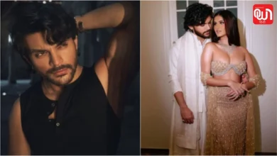 Veer Pahariya Cryptic Note