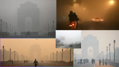 Weather Update: उत्तर प्रदेश, दिल्ली-NCR और बिहार में घना कोहरा, शीतलहर और ठंड का अलर्ट 8 Weather Update