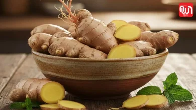 Ginger Storage Tips: गीली अदरक को लंबे समय तक स्टोर कैसे करें? ये तरीके आएंगे काम 8 Ginger Storage Tips