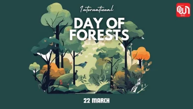 International Day of Forests