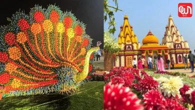 Noida Flower Festival 2026