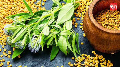 Soaked Fenugreek Seeds for Hair Growth