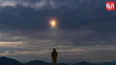 World Contact Day 2026