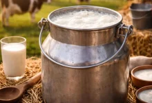 Andhra milk tragedy