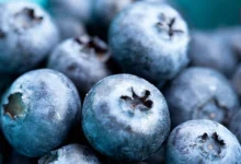 Blueberry and cranberry