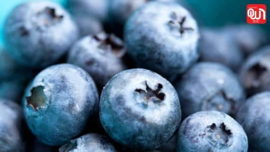 Blueberry and cranberry: ब्लूबेरी और क्रैनबेरी में क्या है फर्क, किसे डाइट में करें शामिल? 8 Blueberry and cranberry