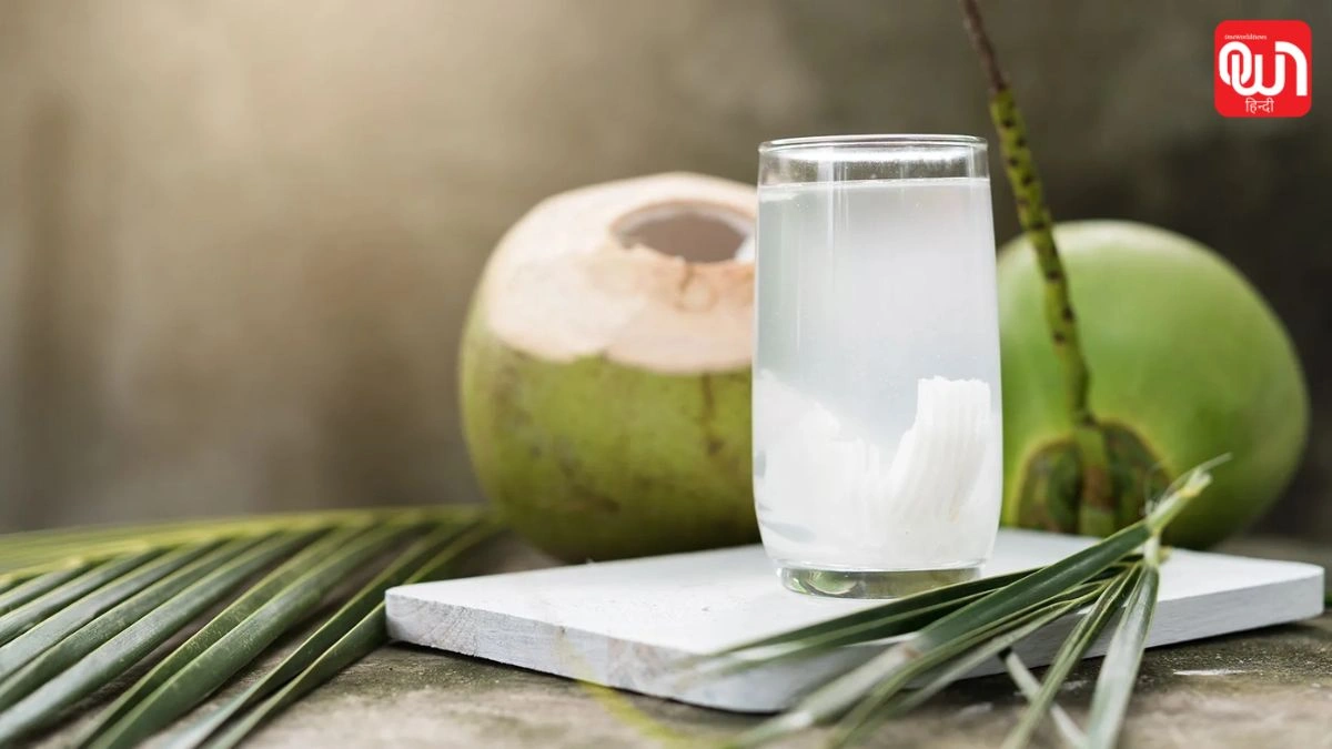 Coconut Water Side Effects: क्या नारियल पानी हर किसी के लिए सुरक्षित है? जानें किन लोगों को रहना चाहिए सावधान 1 Coconut Water Side Effects