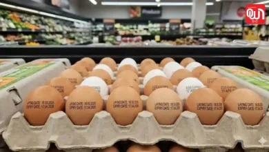 Expired Egg