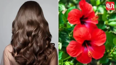 Increase hibiscus plant grow