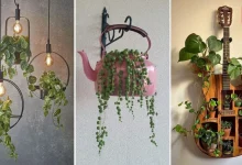 Modern Hanging Planters Ideas