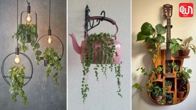 Modern Hanging Planters Ideas