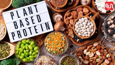 Plant-Based Protein 2.0
