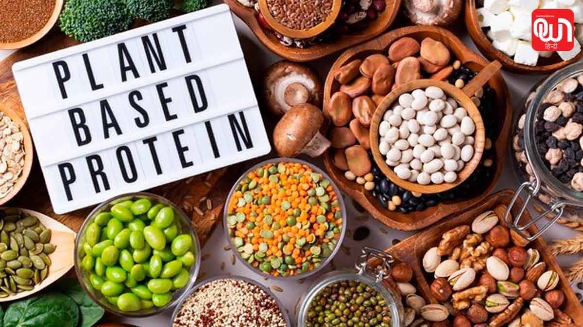 Plant-Based Protein 2.0: क्या प्लांट प्रोटीन बन सकता है परफेक्ट न्यूट्रिशन? 1 Plant-Based Protein 2.0