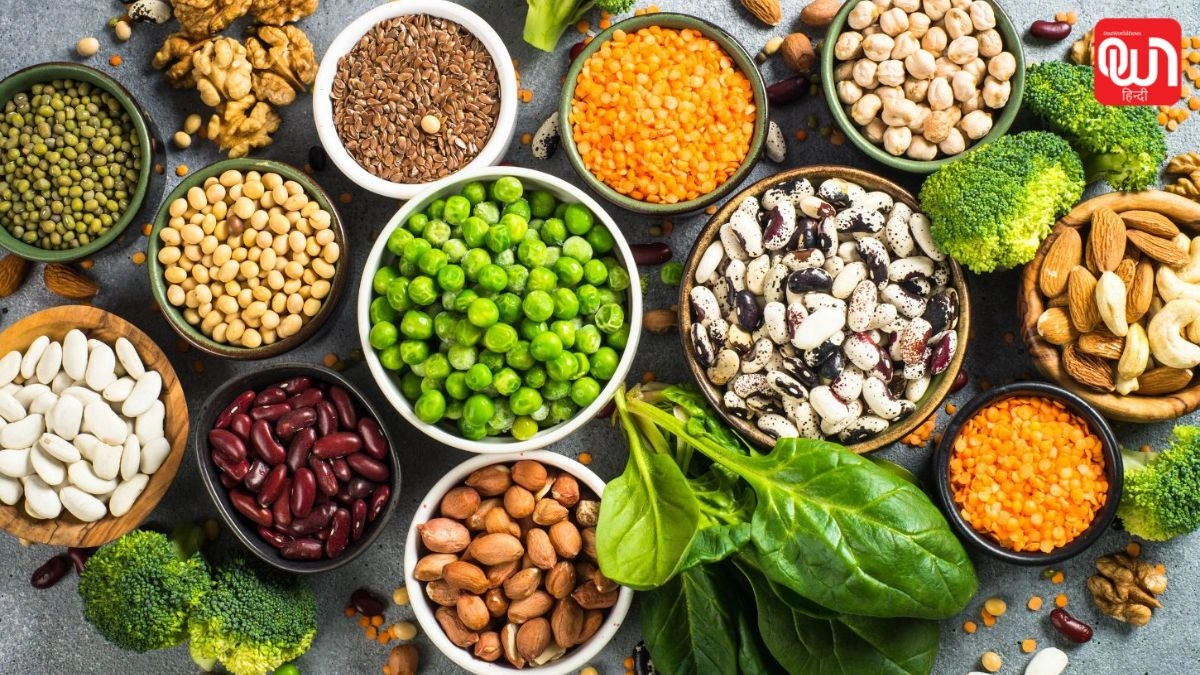 Sensitive digestive system: पाचन तंत्र कमजोर है तो खाएं ये Plant-Based Proteins, मिलेंगे जबरदस्त फायदे 1 Sensitive digestive system