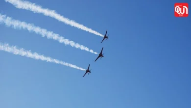 Sujanpur Air Show: जब 9 फाइटर जेट्स ने दिखाया दम, रोमांचित हुई भीड़ 8 Sujanpur Air Show