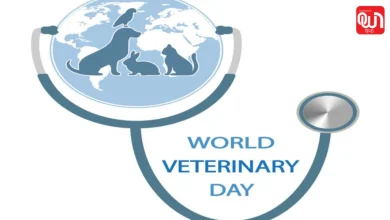 World Veterinary Day 2026