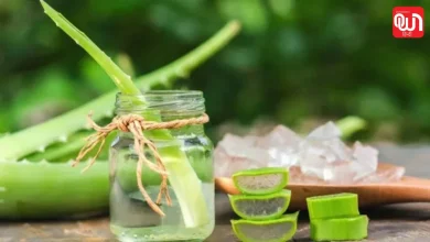 Aloe Vera for Weight Loss