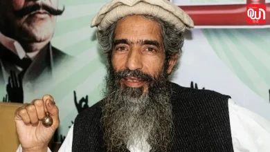 Amir Hamza