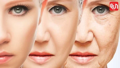 Anti-Wrinkle Night Cream