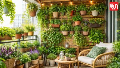Balcony Cleaning Hacks