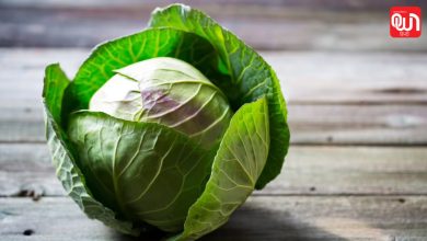 Raw Cabbage lead to brain worms