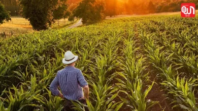 Farmer Day 2026