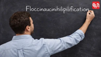 Floccinaucinihilipilification: 29 अक्षरों वाला मुश्किल शब्द! जानें Floccinaucinihilipilification का मतलब और पूरा मामला 5 Floccinaucinihilipilification