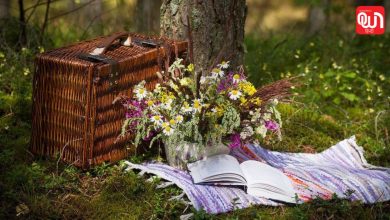 International Picnic Day 2026