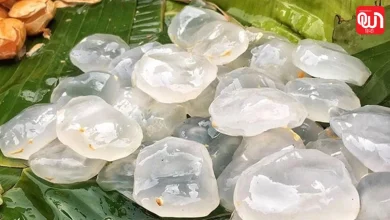 Tadgola Ice Apple: गर्मी में ताड़गोला खाना क्यों है फायदेमंद? जानें शरीर में क्या बदलाव आते हैं 7 Tadgola Ice Apple