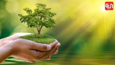 World Environment Day 2026