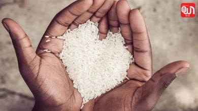 World Hunger Day 2026
