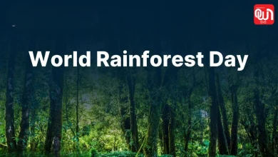 World Rainforest Day 2026