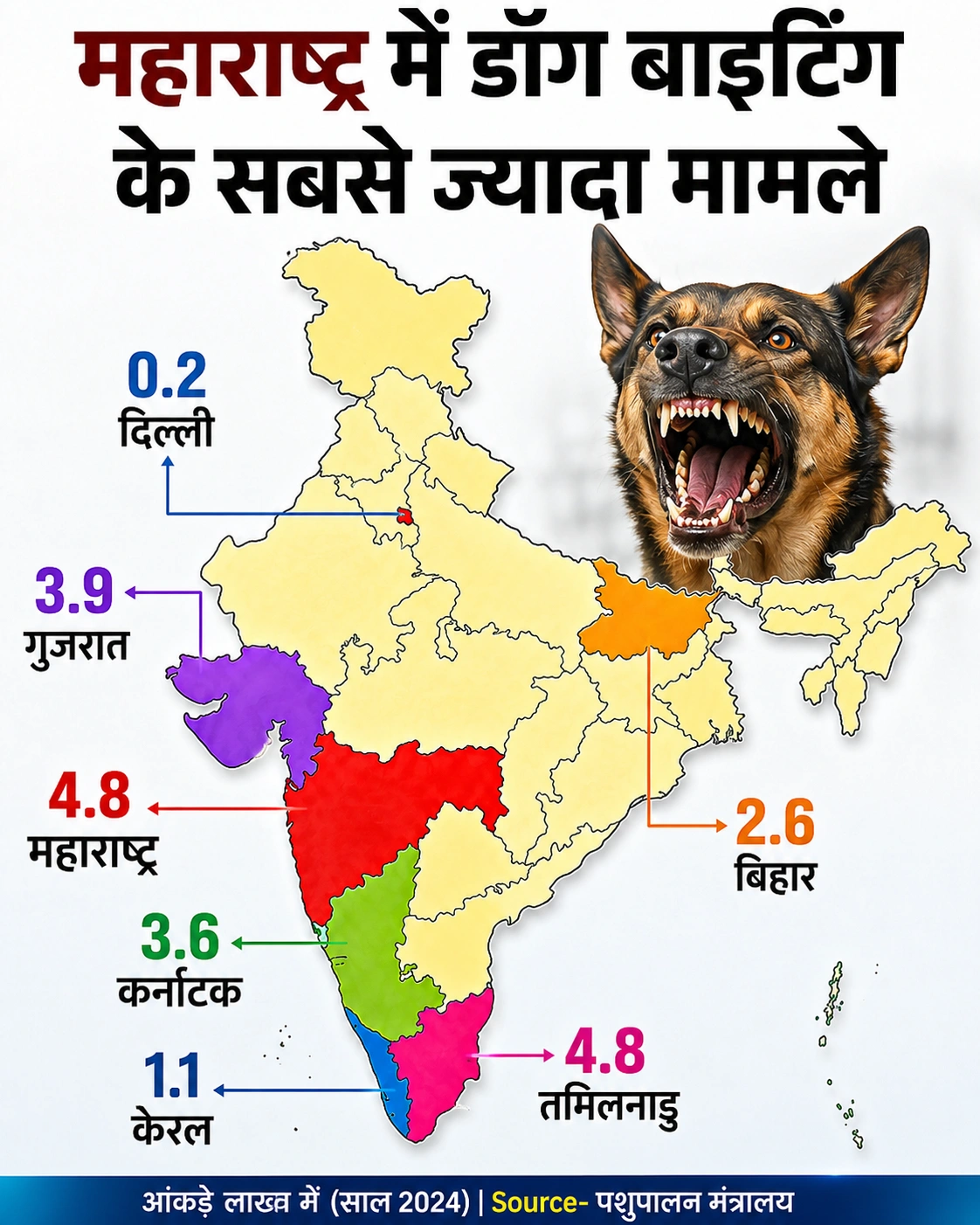 Supreme Court Dog Case: ‘खतरनाक कुत्तों को दें मौत का इंजेक्शन’, सुप्रीम कोर्ट का ऐतिहासिक फैसला 8 917f0cb5 cbef 42b4 8f43 778fbfebd6ae